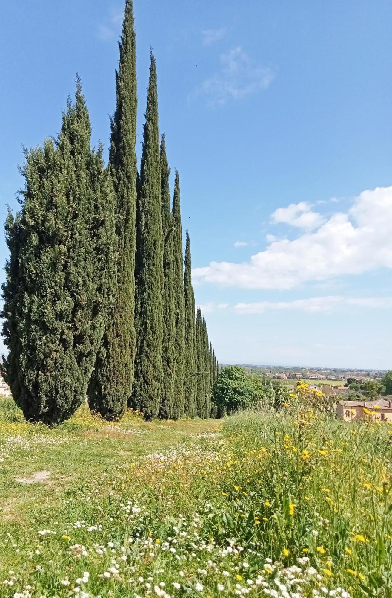 Casalice Apartamento SantʼArcangelo di Romagna Exterior foto